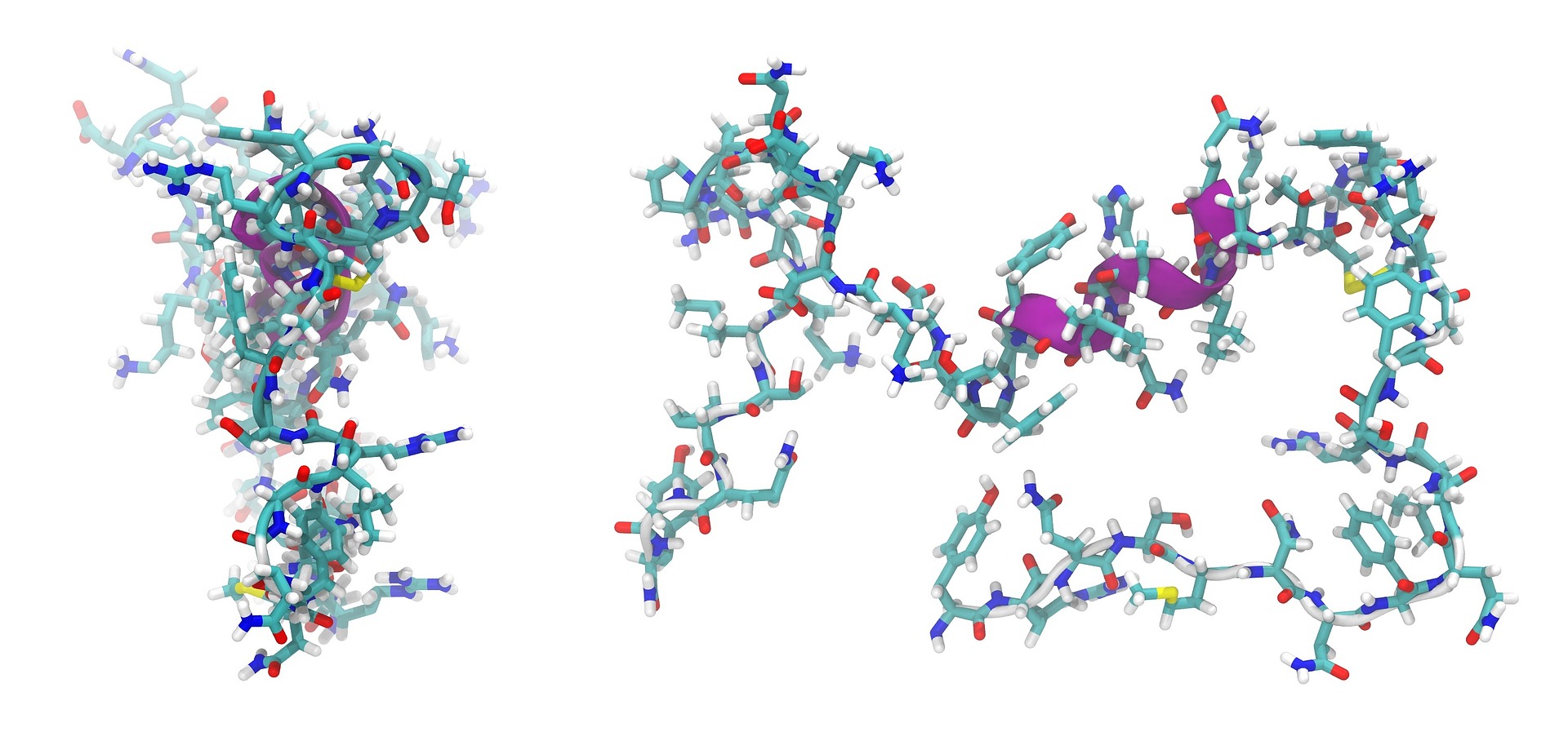 peptide-series-what-are-the-best-peptides-for-weight-loss-and-fat-loss