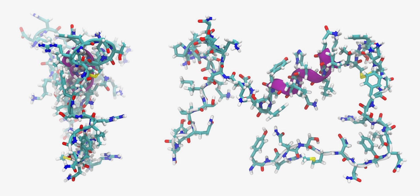 8 Reasons Why People Are Talking About Peptides for Men Dr Tracy